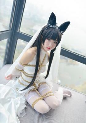 杉杉来了电视剧在线观看免费_影视大全视频